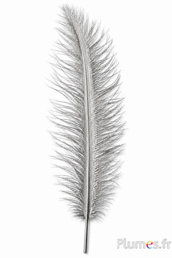 Struzzo - 30-40 cm - argento